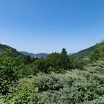 Les Roches Fleuries 3*