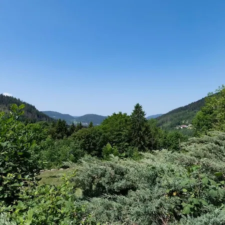 Les Roches Fleuries 3*