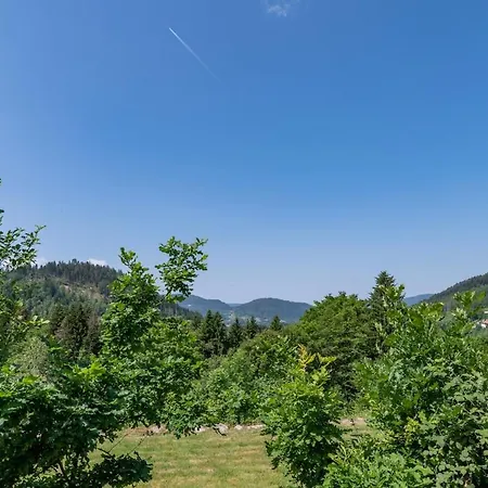 Les Roches Fleuries Bed & Breakfast Sapois (Vosges)