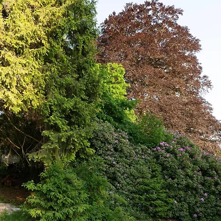 Bed & Breakfast Les Roches Fleuries