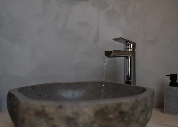 Les Roches Fleuries *