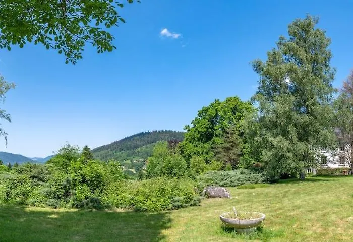 Les Roches Fleuries 3*