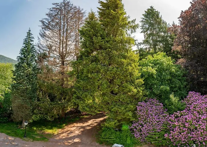 Les Roches Fleuries * Sapois (Vosges)