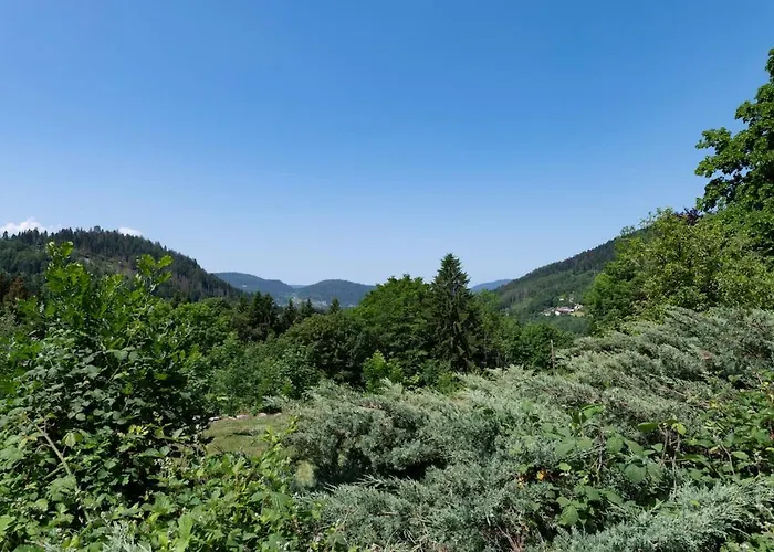 Les Roches Fleuries *