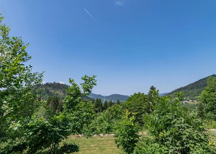 Les Roches Fleuries Bed & Breakfast Sapois (Vosges)