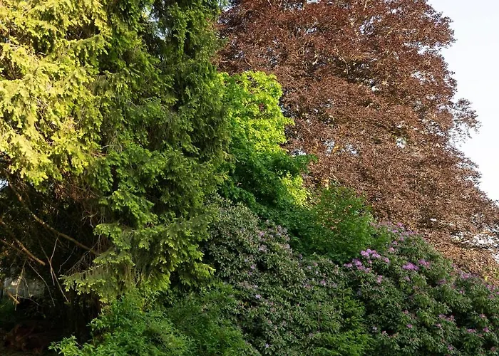 Bed & Breakfast Les Roches Fleuries