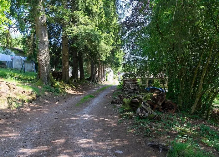 Bed & Breakfast Les Roches Fleuries Sapois (Vosges)